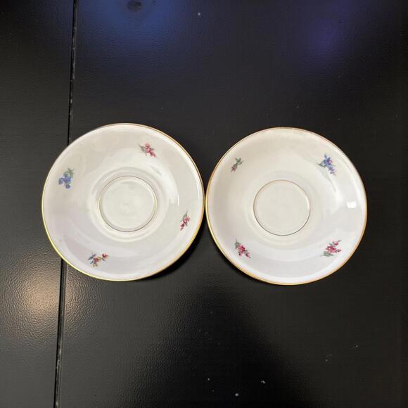 Johann Seltmann Saucer Set 2 Bavaria Floral Gold Rim Porcelain Made Germany - Picture 2 of 4